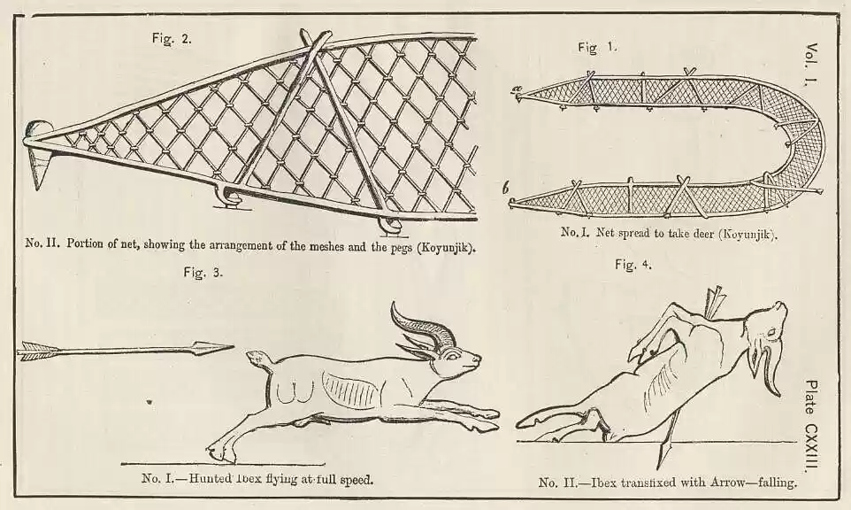 plate123